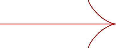 vector